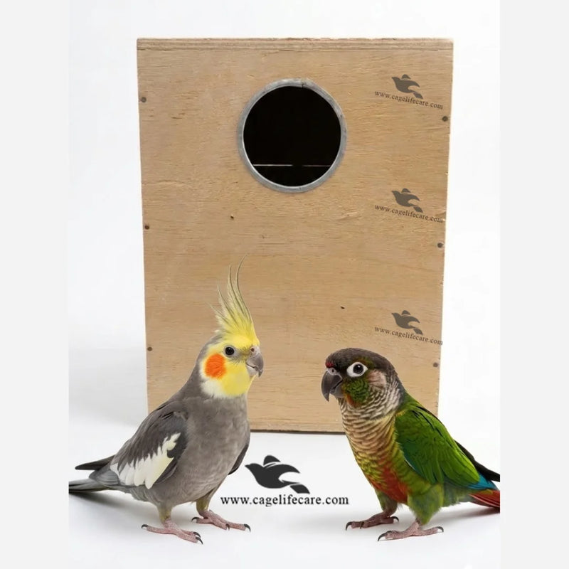 Cockatiel & Conure Breeding Box – Wooden Nest Box for Medium Parrots