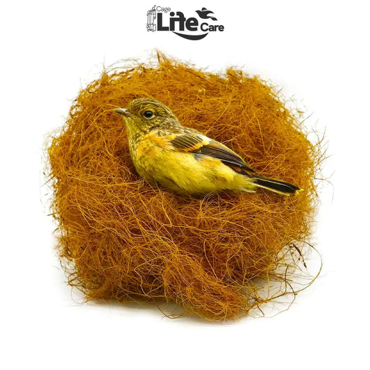 Coconut Fiber Nesting for Finches – Natural Nesting Material