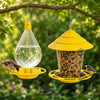 Combo Set of Hanging Bird Feeder and Water Drinker — Seed Feeder and Water Dispenser for Aviaries, Gardens and Wild Birds