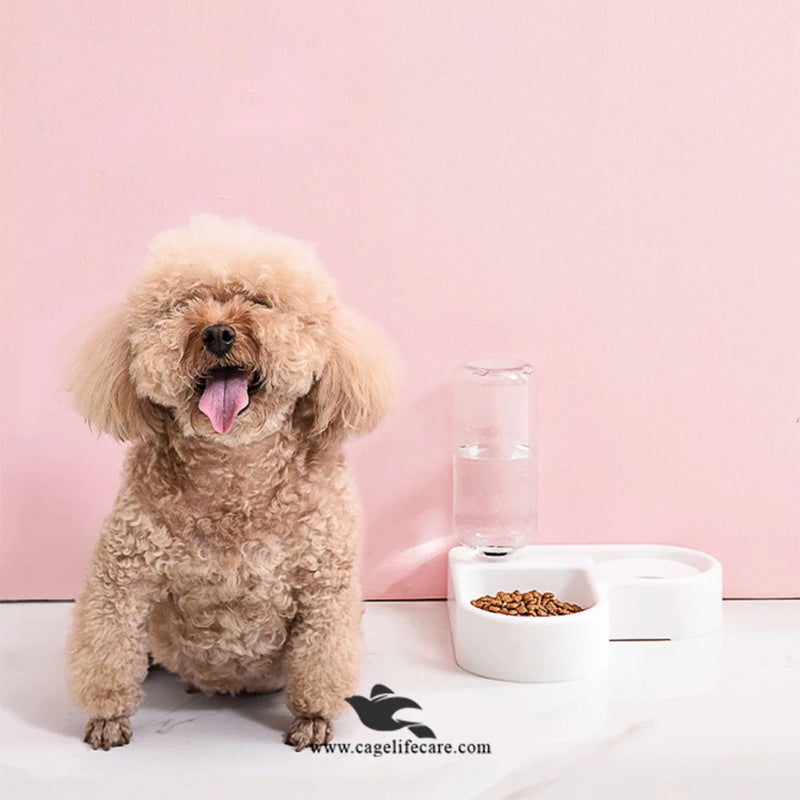 Corner 2-in-1 Feeding Pot Heart Shaped Bowl for Cats & Dogs