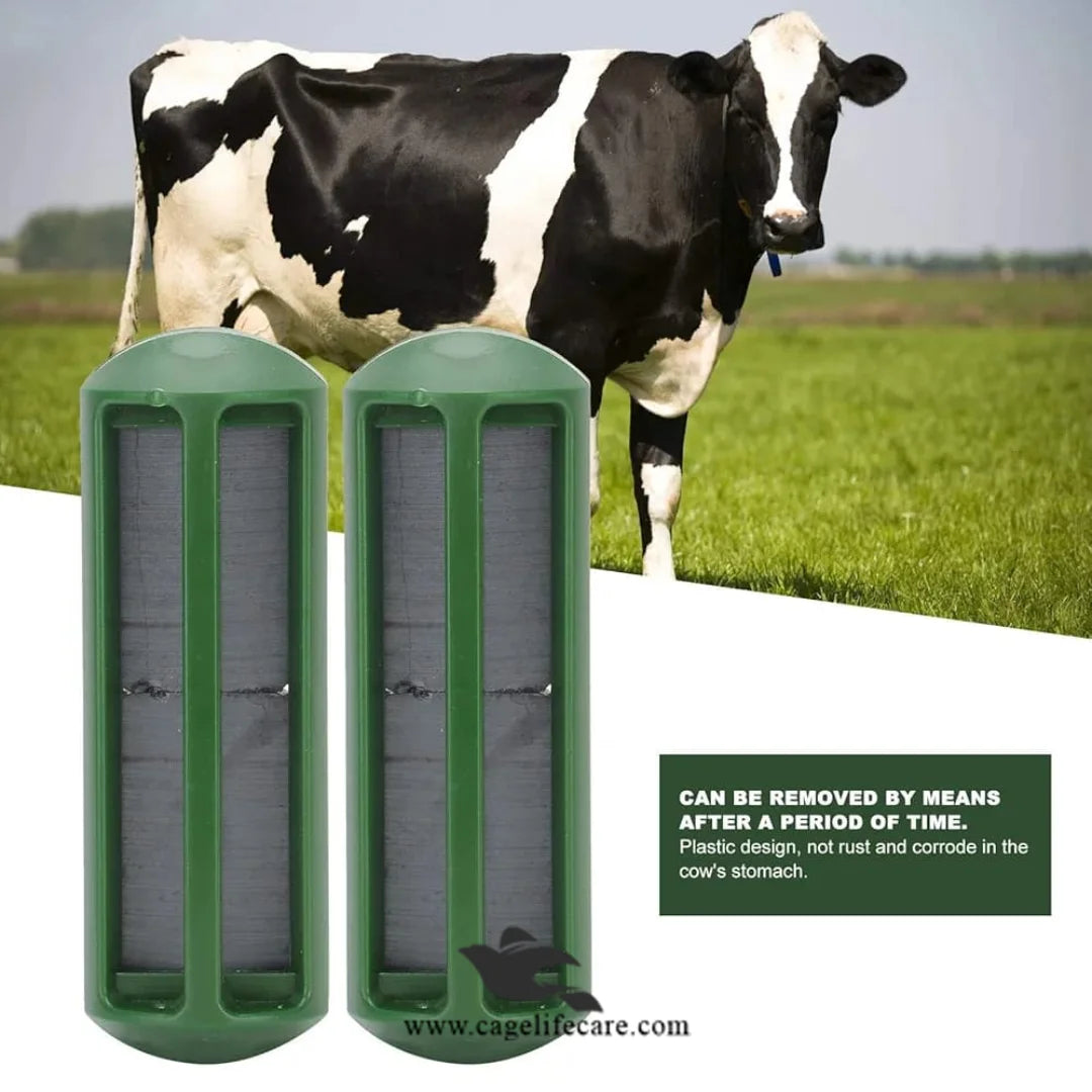 Metal Attracting Magnet for Dairy Cows