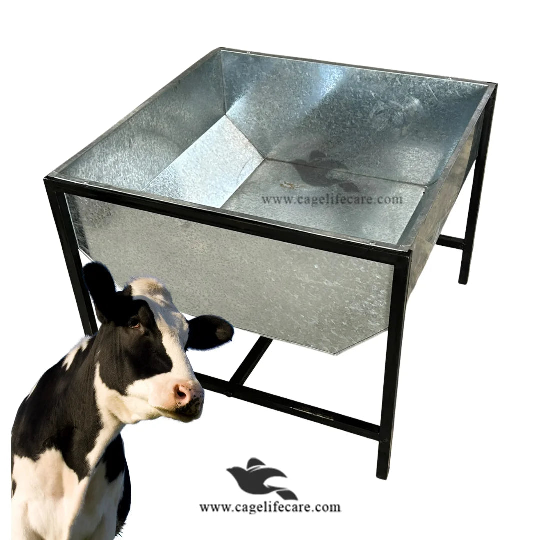 Cow and buffalo square feeding bucket 2x2 ft