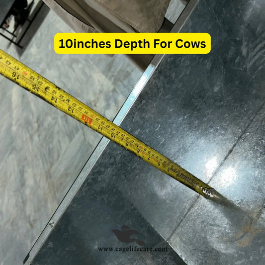 Heavy-duty 22-gauge steel bucket for cows and buffaloes