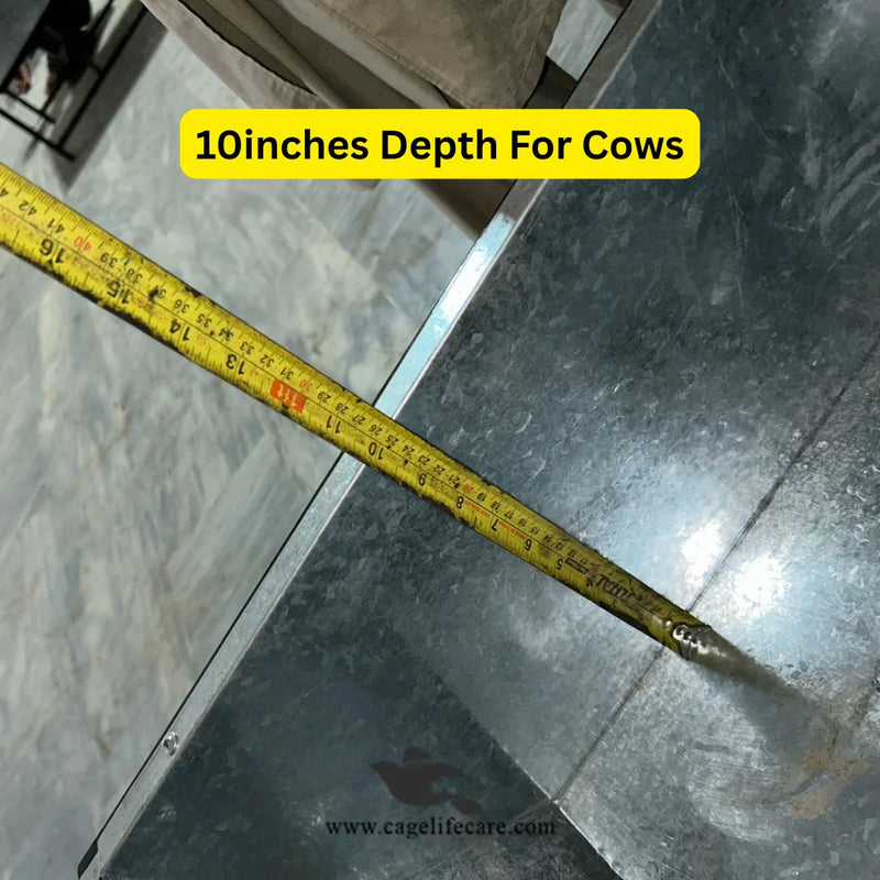 Cow & Buffalo Square (2x2 Ft) Stainless Steel Feeding Bucket with Foldable Stand