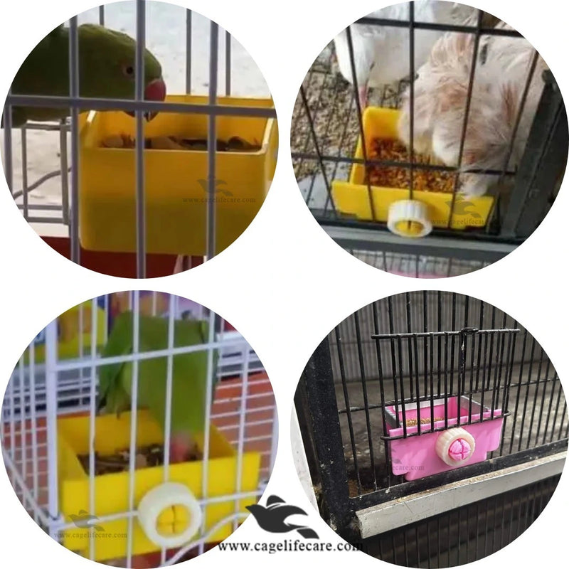 Crock Feeder Pot – Durable Bird Feeder & Drinker Non-Biteable