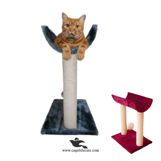 Curve top cat scratcher 56cm with play ball