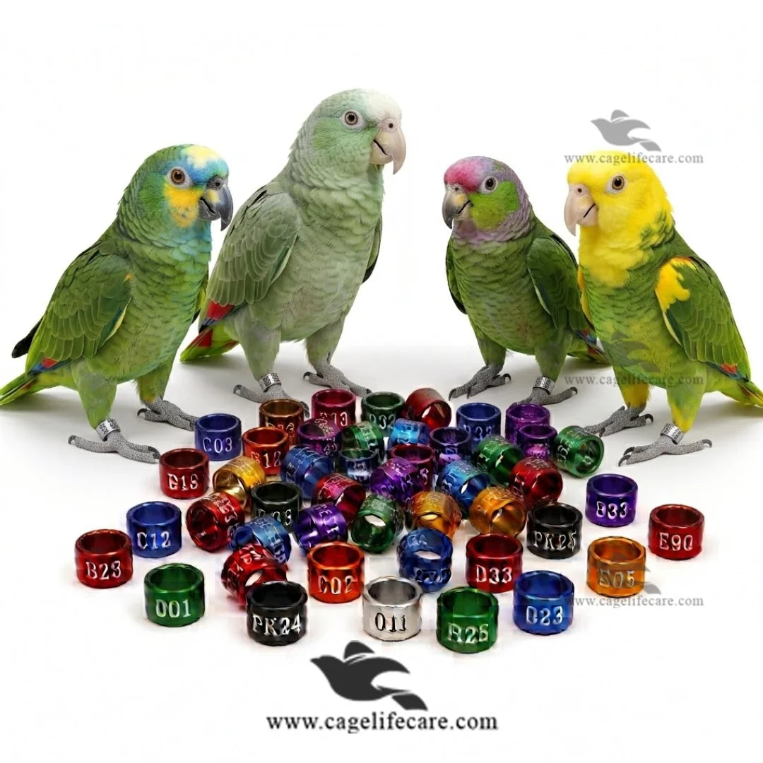 Customised Amazon Parrot Rings Aluminium Color Leg Rings