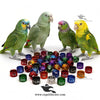Customised Amazon Parrot Rings — Aluminium Color Rings for Amazon Parrot Identification and Tracking