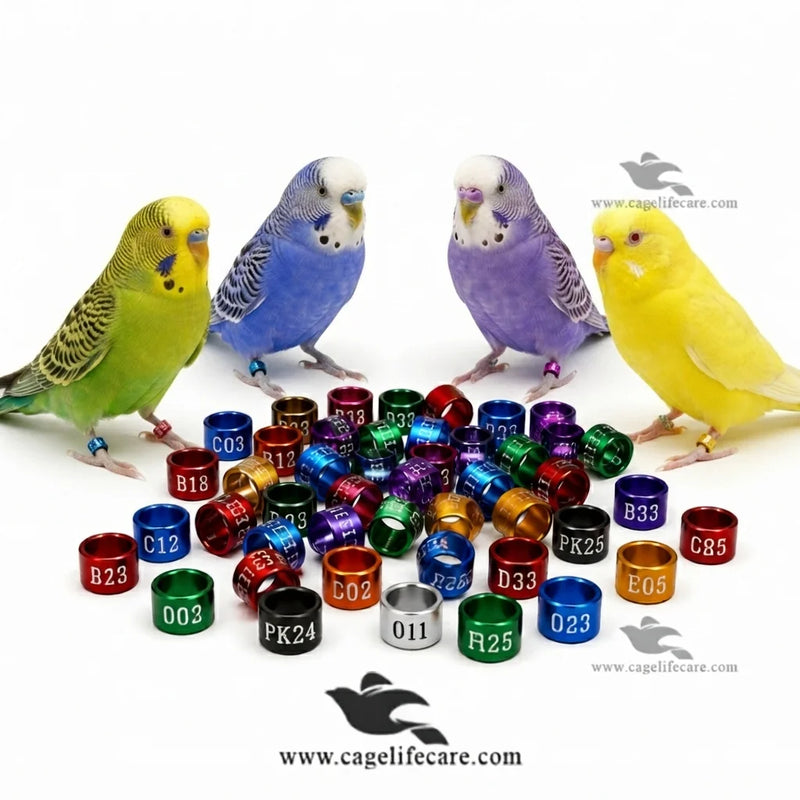 Customised Budgies Parakeet Rings — Aluminium Color Rings for Budgies Identification and Tracking