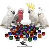 Customised Cockatoo Rings — Aluminium Color Rings for Cockatoo Identification and Tracking