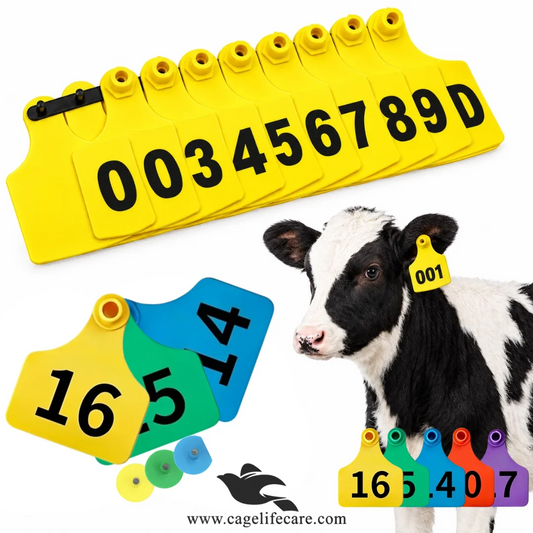 Customised Large Jumbo TPU Ear Tags for Cattle and Buffaloes