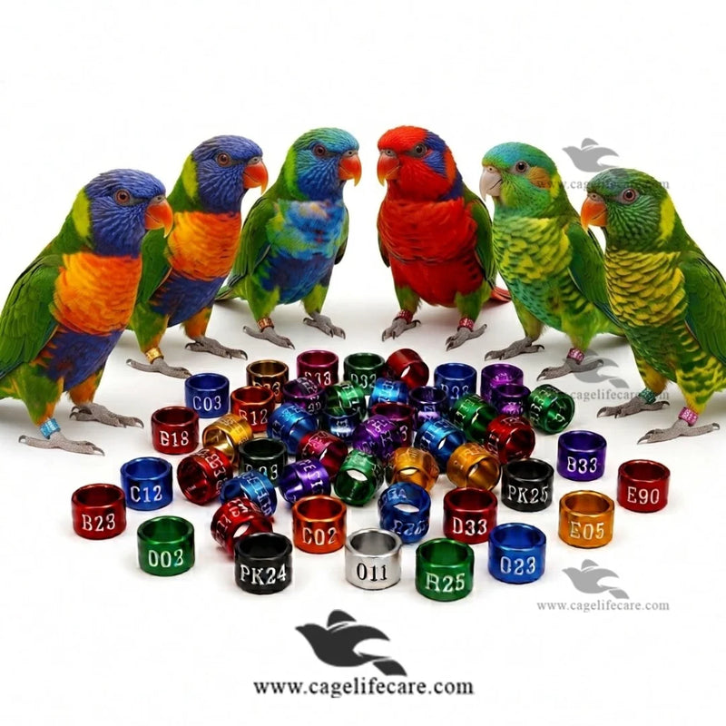 Customised Lory and Lorikeet Rings — Aluminium Color Rings for Identification and Tracking
