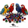 Customised Macaw Rings — Aluminium Color Rings for Macaw Identification and Tracking