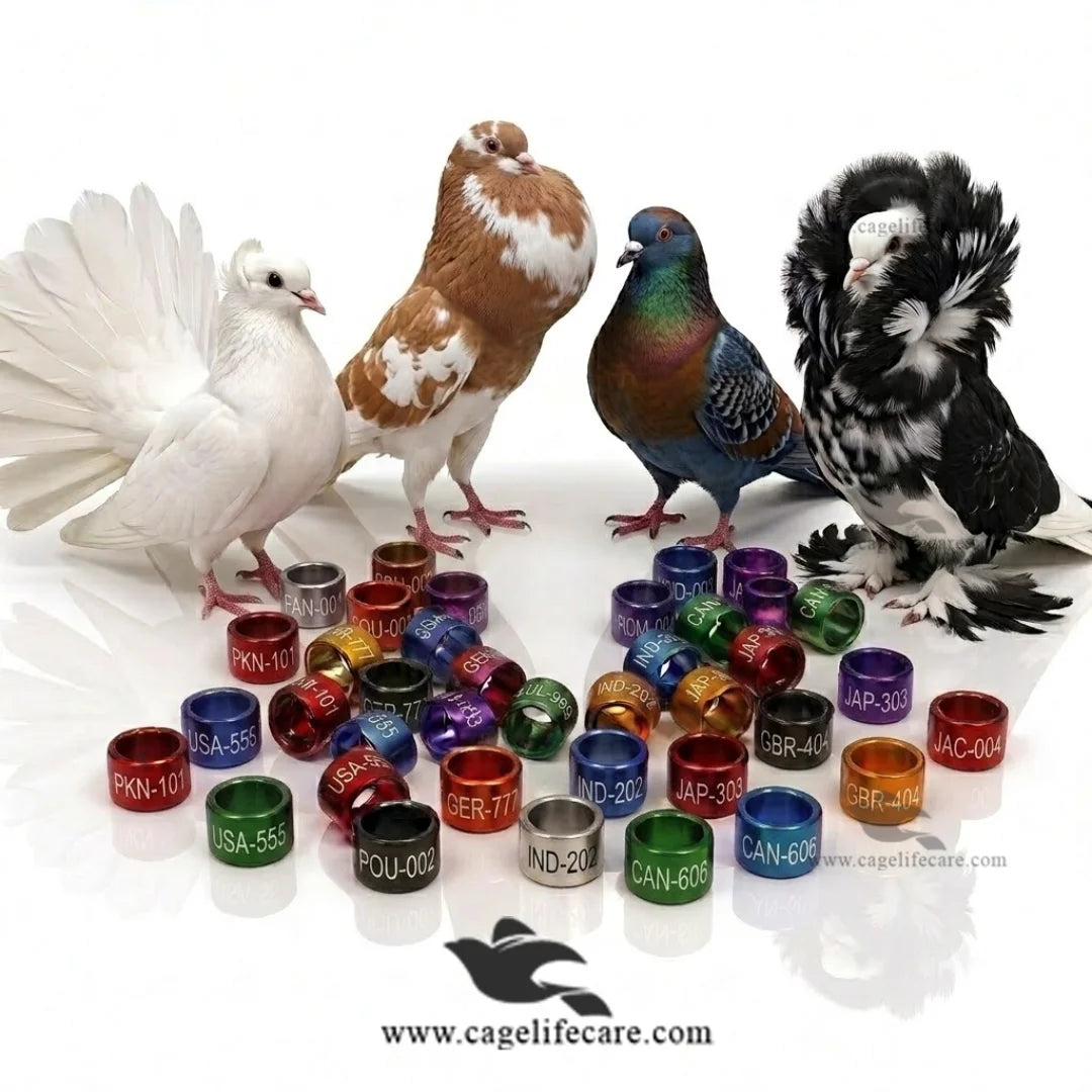 Customised Pigeon Rings Aluminium Color Leg Rings