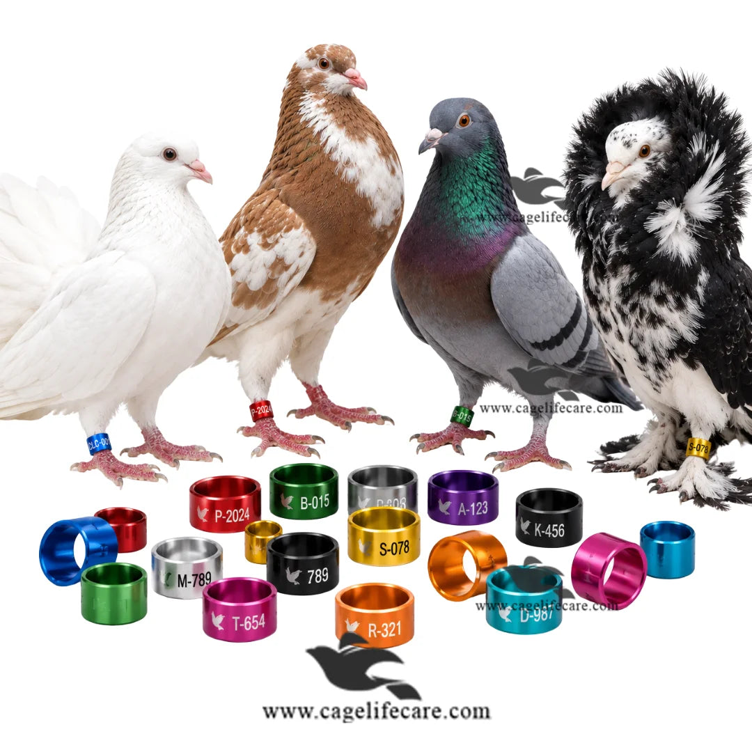 Customised Pigeon Rings — Aluminium Color Rings for Pigeon Identification and Tracking