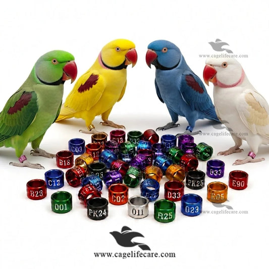 Customised Alexandrine Parakeet Rings Aluminium Color Leg Rings