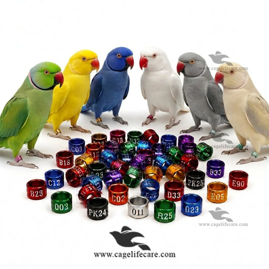 Customised Ringneck Parrot Rings Aluminium Color Leg Rings