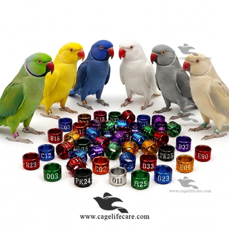 Customised Ringneck Parrot Rings — Aluminium Color Rings for Identification and Tracking