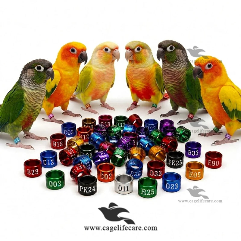 Customised Conure Parrot Rings — Aluminium Color Rings for Conure Identification and Tracking