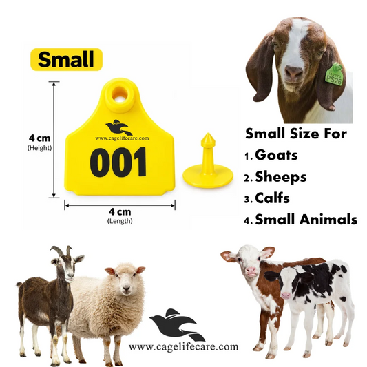 Customised Small Animal Ear Tags with Farm Logo and Number