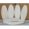 Large Cuttlefish Bone – Natural Calcium Source for Birds