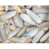 Medium Cuttlefish Bone – Natural Calcium Source for Birds