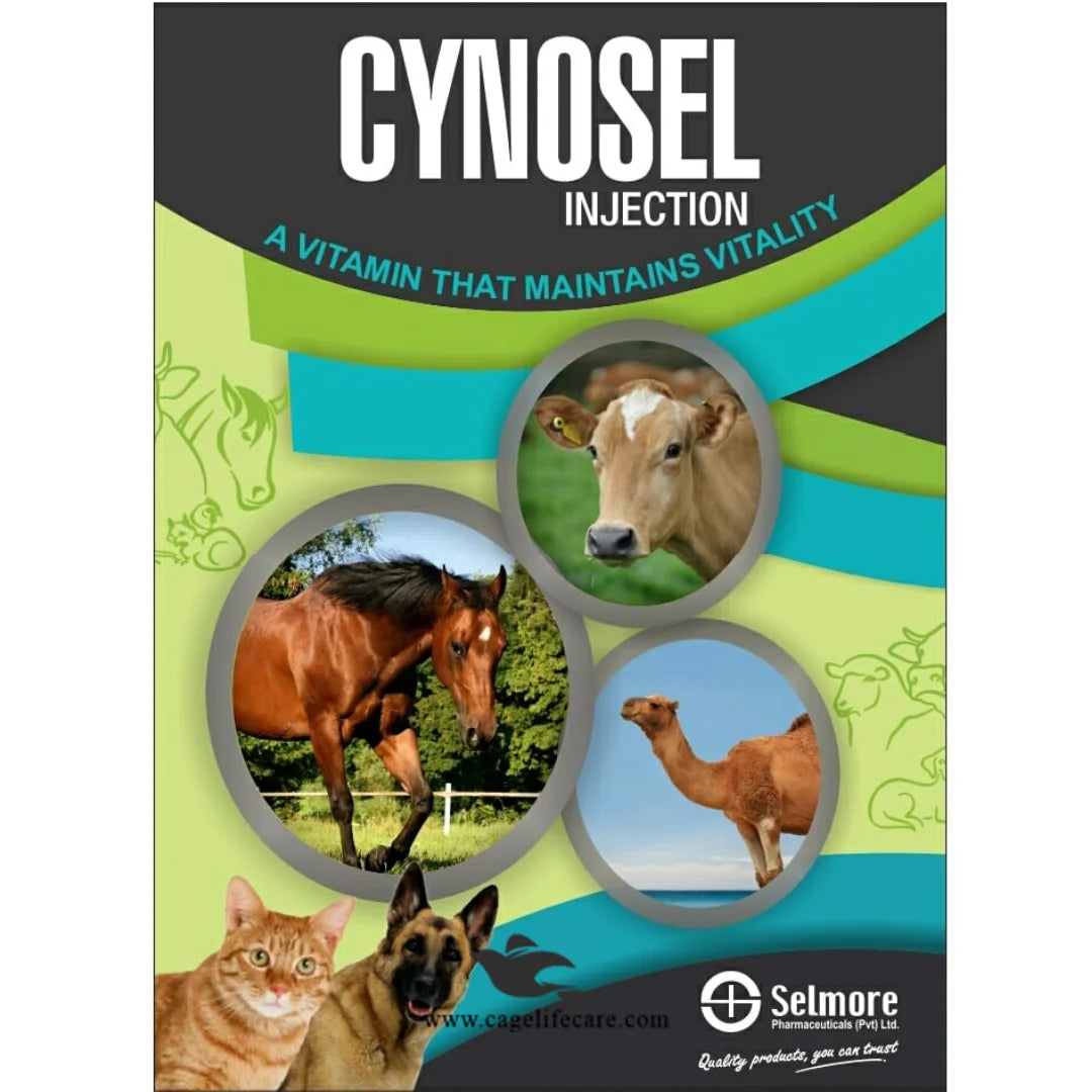 Cynosel Injection Vitamin B12 (Cyanocobalamin) Supplement for Livets Cage Life Care Cynosel Injection Vitamin B12 (Cyanocobalamin) Supplement for Livets Cage Life Care