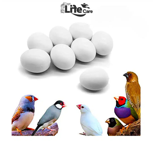 Dummy Eggs for Finches & Sparrows