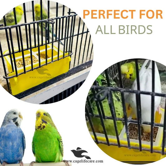 Delic Feeder Pot - No-Waste Feeder For Birds For Parrots 
