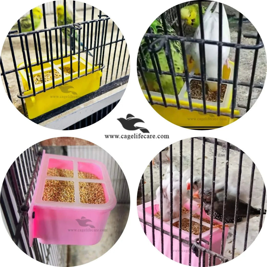 Delic Feeder Pot - No-Waste Feeder For Birds For All Small Birds