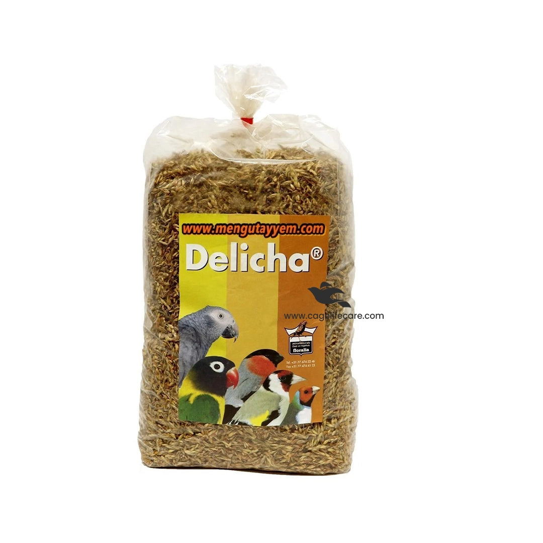 Delicha Grass Seed – Premium Natural Nutrition for Birds