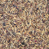 Delicha Grass Seed – Premium Natural Nutrition for Birds
