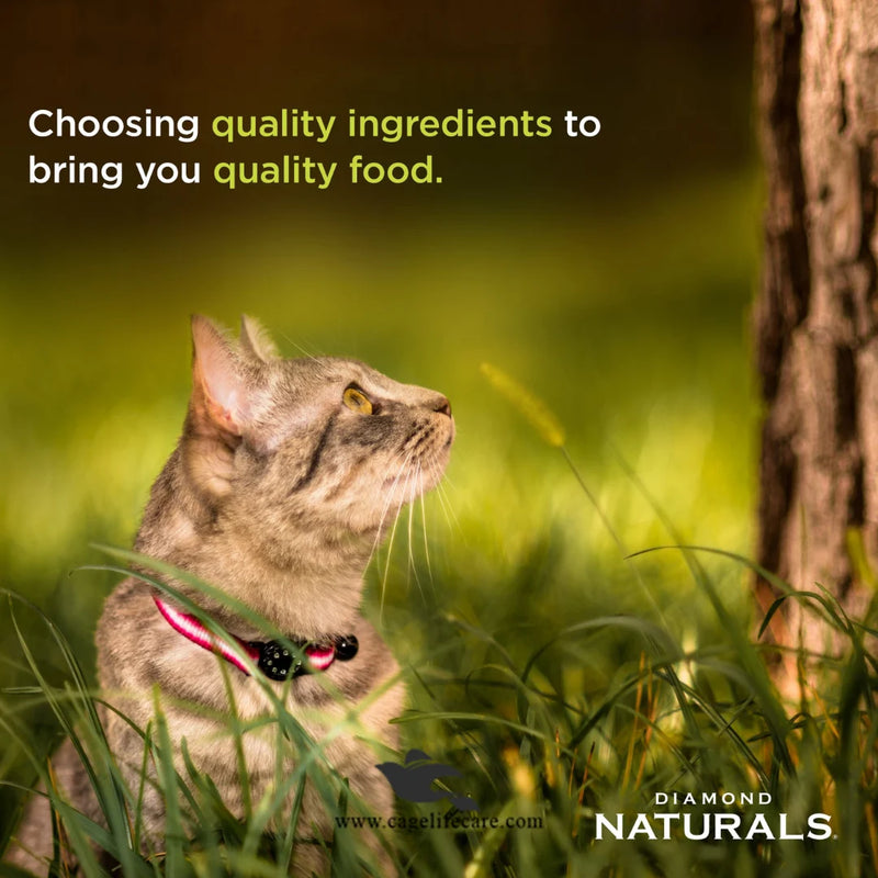 Diamond Naturals Kitten Cat Food – Chicken & Rice Formula