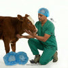 Disposable Cap – Hygiene Head Cover for Veterinary & Farm Use