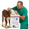 Disposable Gloves – Veterinary & Farm Use (100 Pcs Pack)