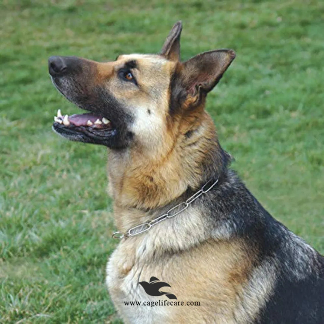 Dog Long Link Choke Chain – Stainless Steel, Durable & Comfortable