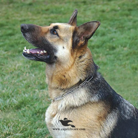 Dog Long Link Choke Chain – Stainless Steel, Durable & Comfortable