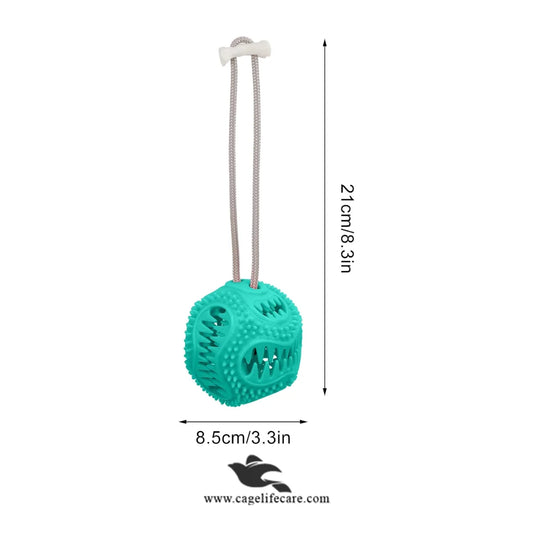 Dog teether and chew toy for dental care
