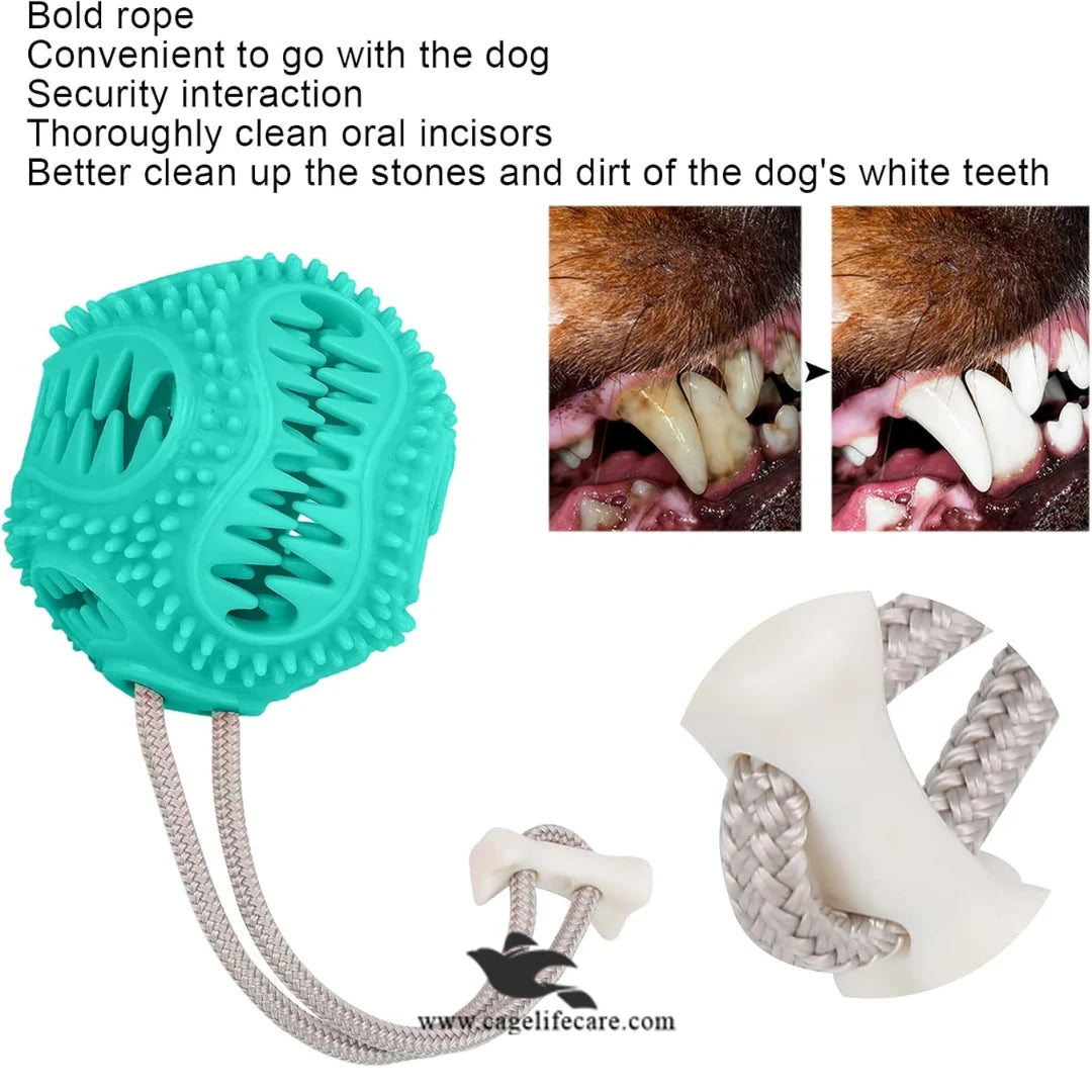 Multicolor rope ball for fetch and play