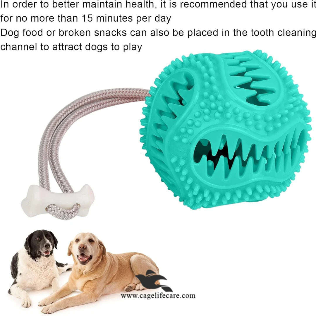Durable dog toy for chewing and tugging