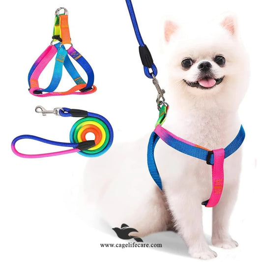 Dog Rainbow Harness with Leash Set – Stylish & Comfortable (Imported)