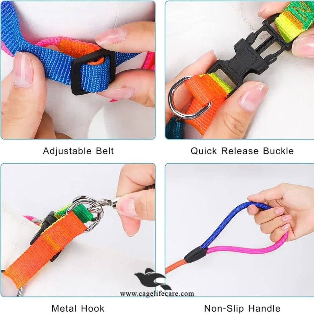 Dog Rainbow Harness with Leash Set – Stylish & Comfortable (Imported)