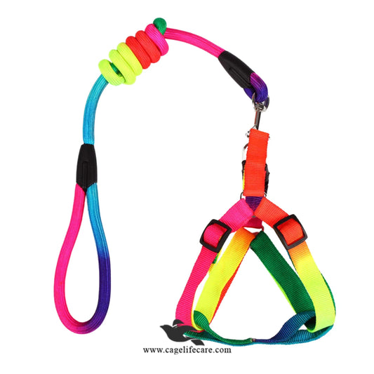 Dog Rainbow Harness with Leash Set – Stylish & Comfortable (Imported)