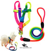 Dog Rainbow Harness with Leash Set – Stylish & Comfortable (Imported)