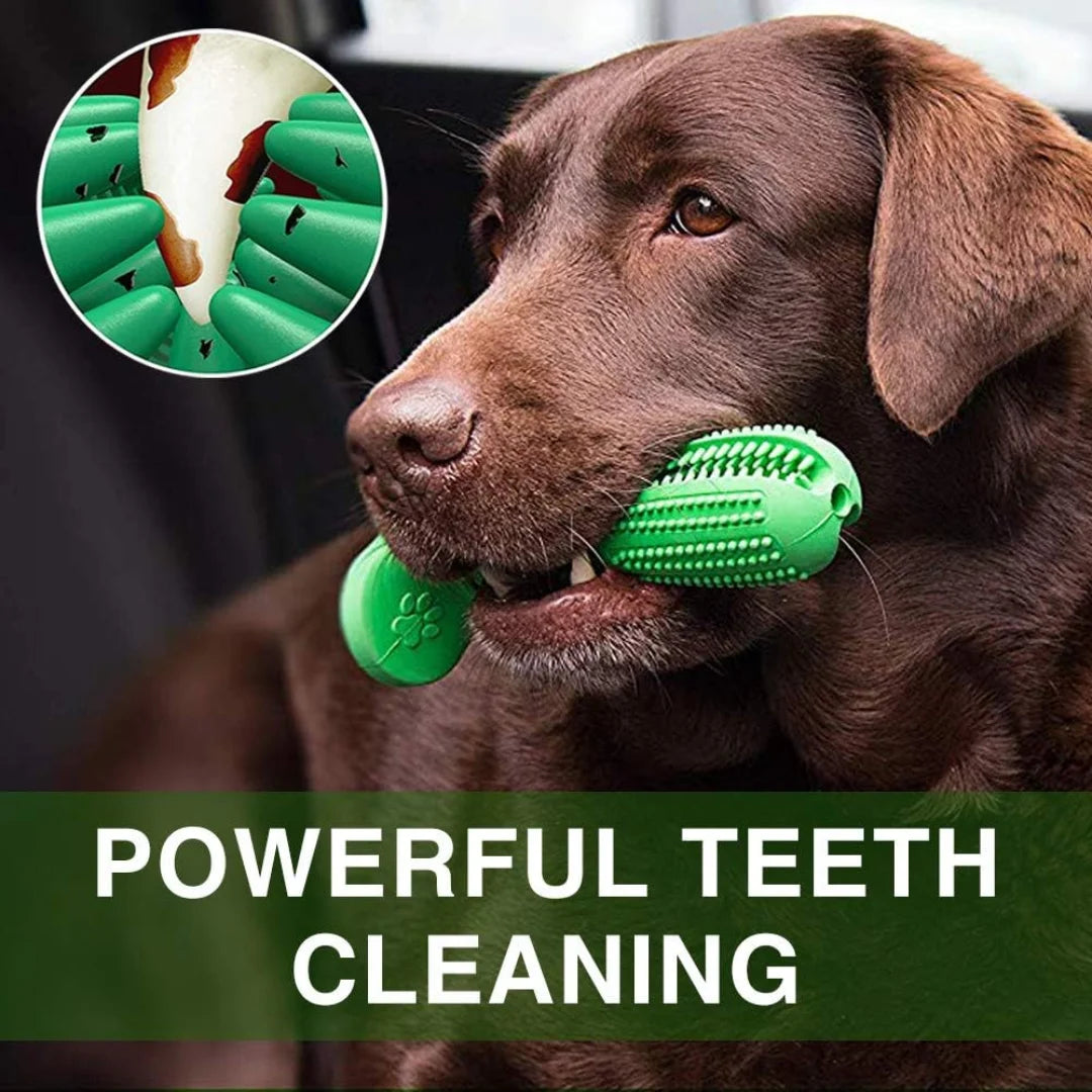 2-in-1 pet dental care toothbrush and chew toy