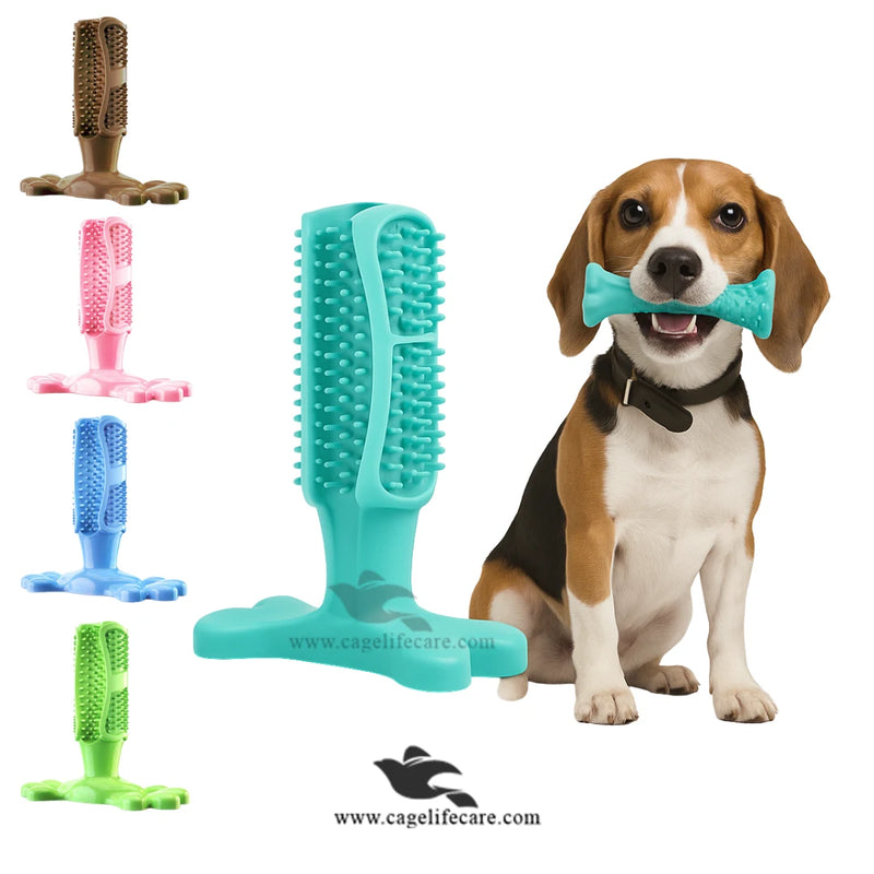 Dog Toothbrush with Teether 2-in-1 – High-Quality Imported Dental Care Toy