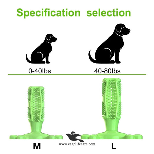 Medium Dog Teether for Dental Care