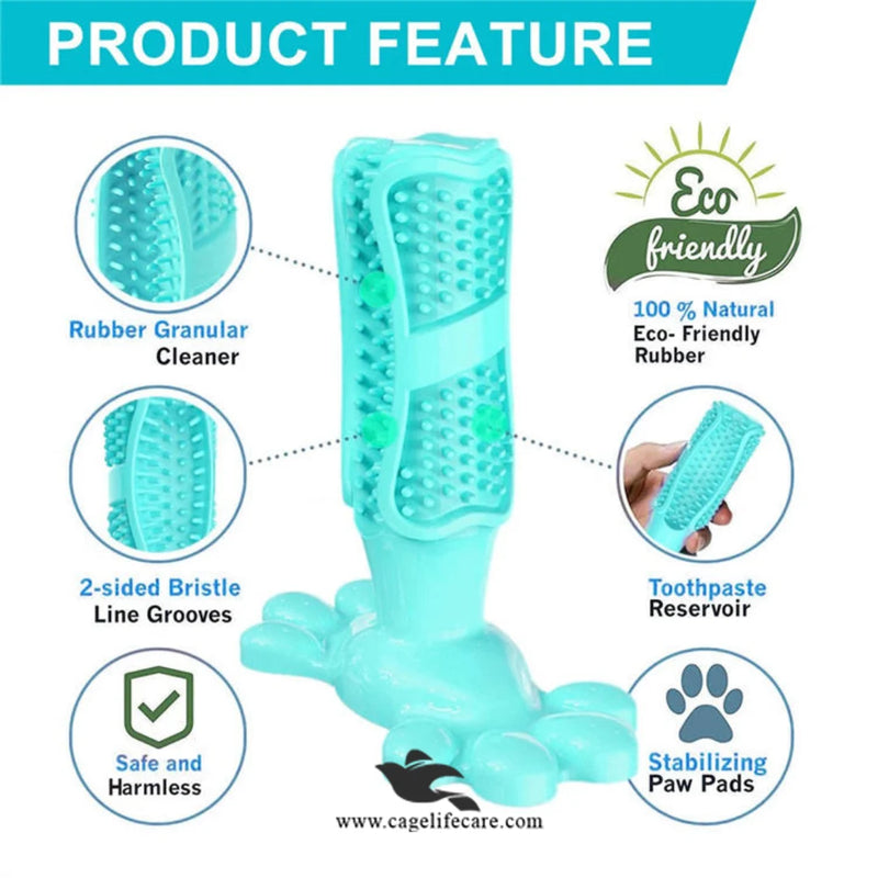 Dog Toothbrush with Teether 2-in-1 – High-Quality Imported Dental Care Toy