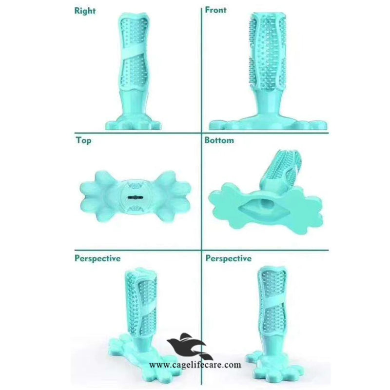 Dog Toothbrush with Teether 2-in-1 – High-Quality Imported Dental Care Toy