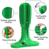 Dog Toothbrush with Teether 2-in-1 – High-Quality Imported Dental Care Toy